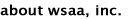 about world's smallest ad agency, wsaa, inc.