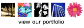 View our Portfolio